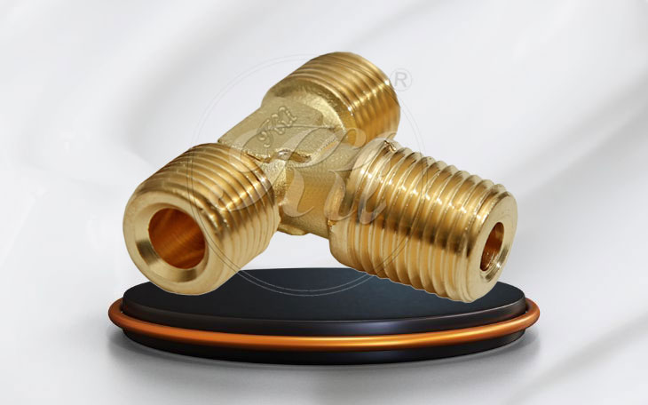 BRANCH &ldquo;T&rdquo; MALE of KK International