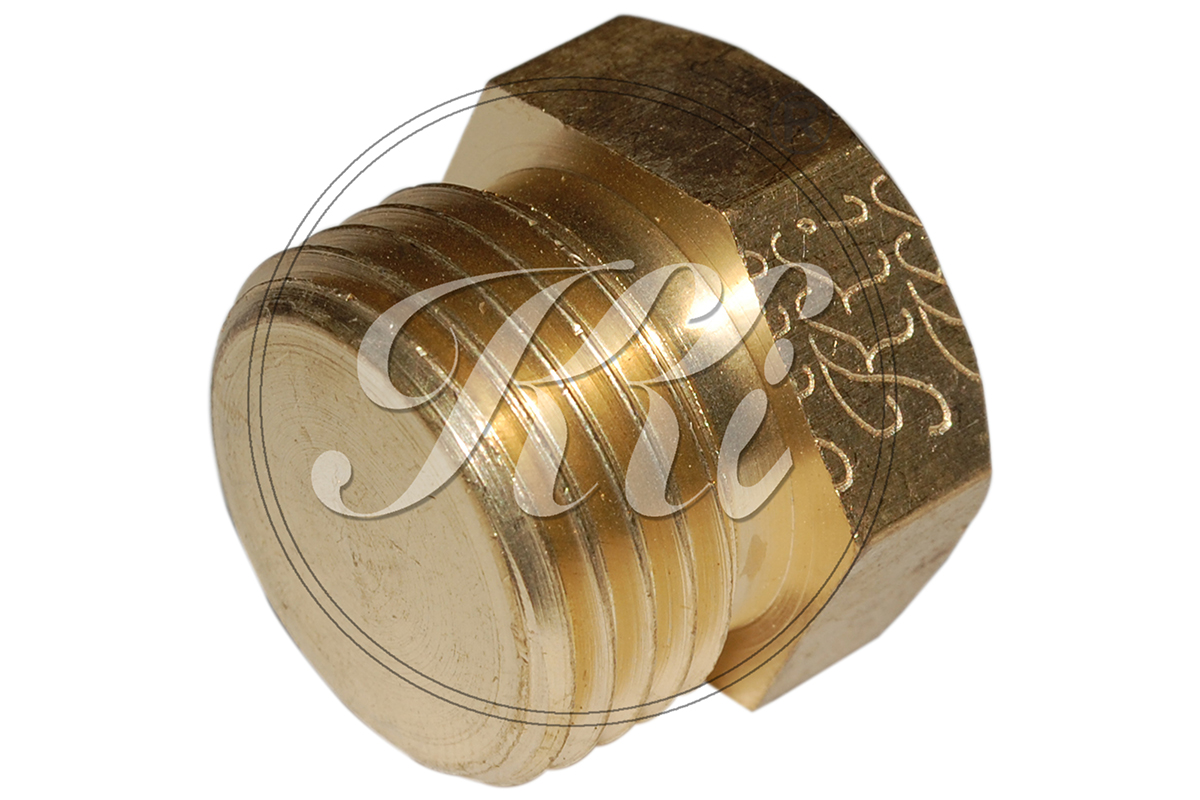 Brass Hex Plug